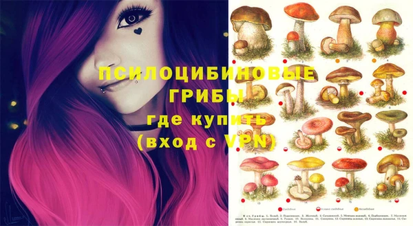 дживик Усмань