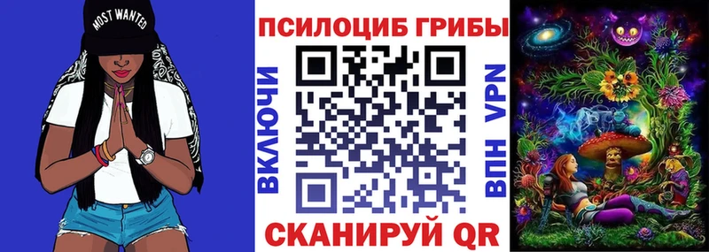Галлюциногенные грибы GOLDEN TEACHER маркетплейс телеграм Поворино