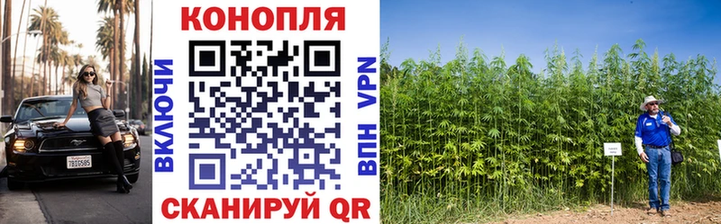 Конопля Ganja  Поворино 